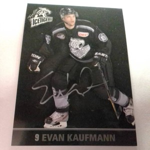 DEL autograph card ICE Tigers Nuremberg 2012/13 signed Evan Kaufmann