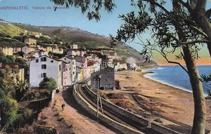 31-21) OSPEDALETTI PONENTE ANIMATA BIANRI FERROVIA ( ARRIVO TRENO ? ) IMPERIA - Imagen 1 de 2