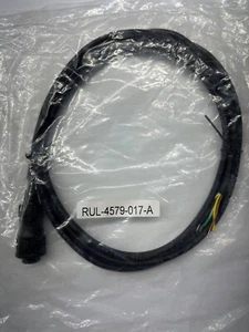 NEW Raymarine RUL-4579-017-A NMEA Input/Output Pigtail For Legacy Displays NOS - Foto 1 di 1