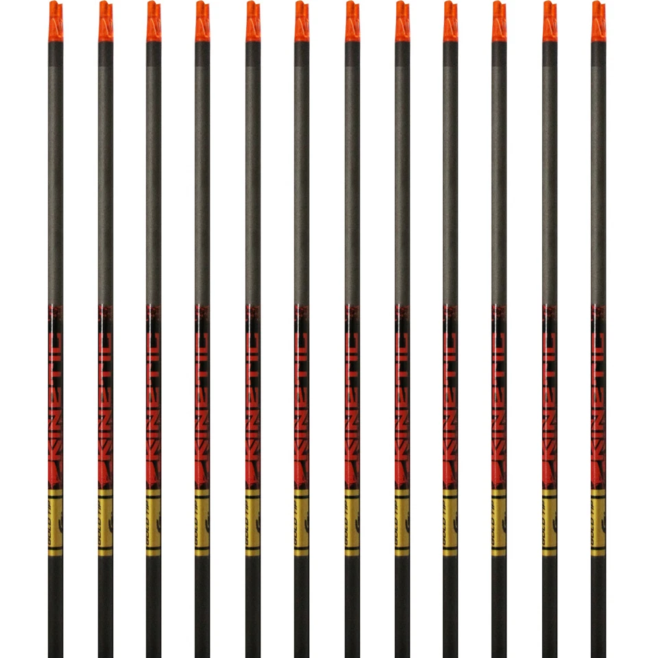 Flechas punta dorada Hunter Kinetic 300 340 400 500 1 docena de ejes negros leva de inserción Foto 1 de 1