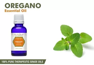 Natural Oregano Essential Oil 100% Pure Aromatherapy Oils Therapeutic Grade - Picture 1 of 3