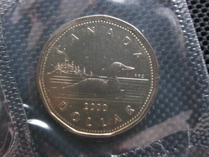 2000 "W" Canadian Prooflike Loonie ($1.00) - Bild 1 von 2