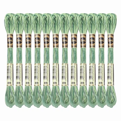 12 Skeins Embroidery Floss, Polyester Embroidery Threads Green Mix - Image 1 of 4