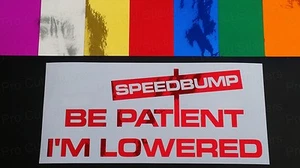 Calcomanías Patient Speedbump I'm Lowered Cromo Low Coche Ventana Parachoques JDM - Imagen 1 de 1