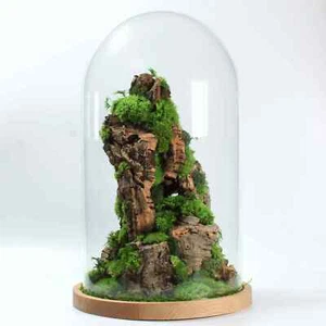 Large Handmade Terrarium with Cloche Glass and Wooden Base Mountain Preserved Te - Picture 1 of 14