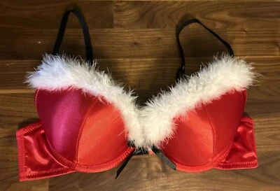 Sujetador Tarea by Rue 21 Talla 34C Piel Roja Brillante Maricón Segunda Piel PushUp Plunge Foto 1 de 4