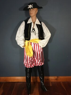 Hombre pirata, disfraz pirata clásico para compañero mediano a grande Foto 1 de 4