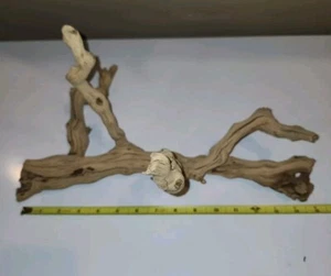 (C3) --- Large 15" × 9" × 9" Twisty Aquarium Driftwood - Picture 1 of 8