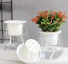 Clear Hydroponic Flower Pot Planter For Growing Mini Potted Plants Pots Set