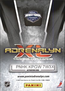 2010-11 Panini Adrenalyn XL Hockey #161 Rick Nash