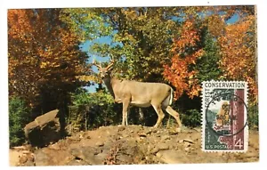 #1122 Forest Conservation 1958 FDC - Serviced Postcard - Picture 1 of 2
