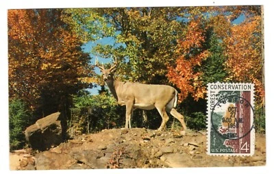 #1122 Forest Conservation 1958 FDC - Serviced Postcard - Image 1 of 2