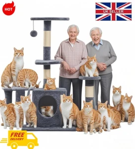 Large Cat Tree Activity Centre Scratching Post For Adult Cats Climbing Tower UK - Picture 1 of 40