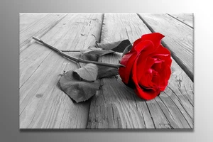 BEAUTIFUL LARGE CANVAS WALL ART RED ROSE PICTURE STUNNING PRINT FLOWER A0 A1 NEW - Picture 1 of 2