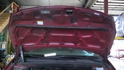 Capó usado se adapta a: Kia Sedona 2009 grado C Foto 1 de 4