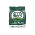 Pennington Kentucky 31 Tall Fescue Penkoted Grass Seed 3 Lb Green
