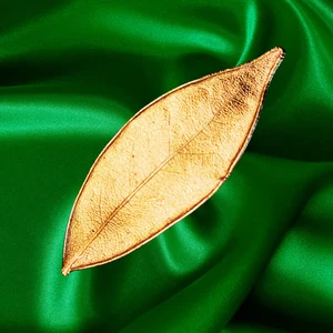 Spilla vintage vera foglia oro placcato ispirazione naturale spilla foglia lunga anni 60-80 - Foto 1 di 4