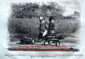 Dog Field Spaniel Cocker Pulls Cart for Children, 1860s Antique Engraving Print - Imagen 1 de 4