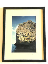 1997 A Mishkin Galapagos photo "Monolith Intaglio" 2/100 17 x 13 framed signed 