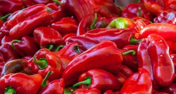 20 semi di Peperone Paprika - Immagine 1 di 1