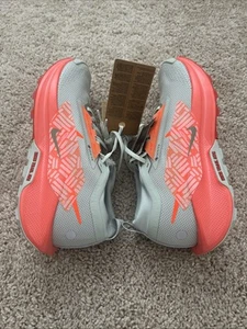 Nike Pegasus Trail 5 GTX Light Silver/Hyper Crimson FQ0908 004 Men’s Size 10.5 - Picture 1 of 12
