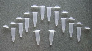 12 - 1,5 ml abgestufte Kunststoff Mikrozentrifuge Fläschchen mit befestigten Deckeln - Bild 1 von 1