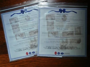 MEMORIAS CREATIVAS Alfombrillas Diario Silueta - Lote de 2 Juegos / 20 en ea. Set - Imagen 1 de 2