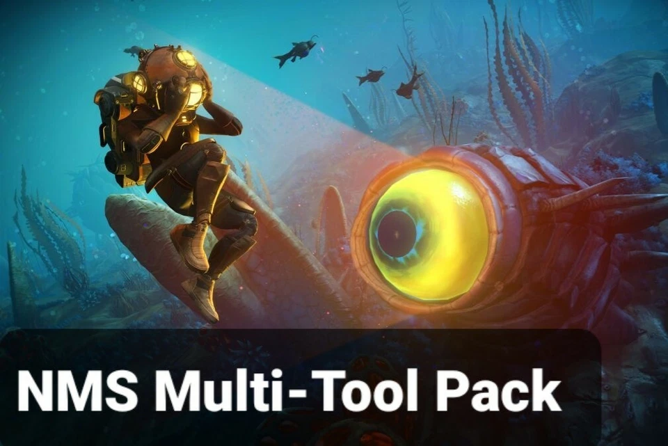 NMS No Man's Sky: Paquete de mejoras multiherramienta (unidades de expansión, mejoras de clase S) Foto 1 de 1