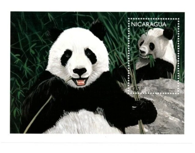 Nicaragua 1999 - Panda - Hoja de estampillas de recuerdo - Scott #2213 - MNH Foto 1 de 1