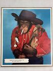 When He Quits Kickin' I'll Let Him Have It Chimp Funny Poster