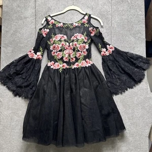 Dave & Johnny Black Floral Embroidered Mini Dress Sz 0 Formal Fairycore Witchy - Picture 1 of 12