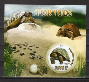 MALI - 2012 TURTLES IMPERF M2817A - Bild 1 von 1