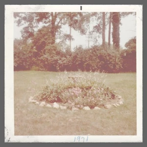 Fundfoto 1971 rundes Blumenbeet 3,5 x 3,5  - Bild 1 von 2