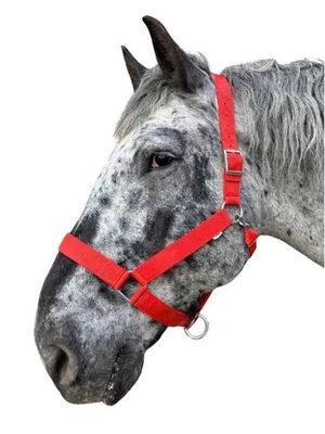 WEISSL Kaltbluthalfter X-Treme, extra stark - Bild 1 von 4