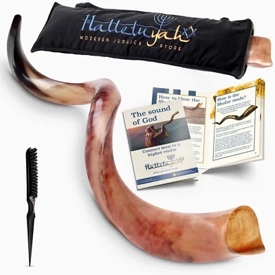 HalleluYAH Original Kosher Fully-Polished Kudu Shofar From Israel - Image 1 of 4