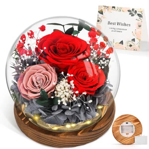 Ewige Rose im Glas - Infinity Rosen Geschenke für Frauen, Weihnachtsgeschenk - Bild 1 von 23