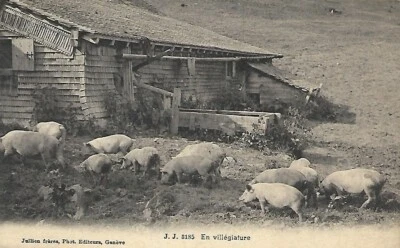 SWITZERLAND 1918 PICTURE POST CARD TO COPENHAGEN DENMARK #234 - Image 1 of 2