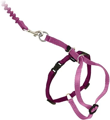 PetSafe Come with Me Kitty Harness & Bungee Leash - Dusty Rose & Burgundy - Image 1 of 4
