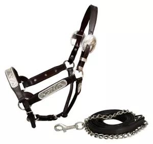 Showman Leather Show Halter w/ Engraved Silver Accents - Picture 1 of 1