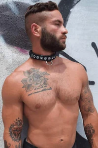 GLOW PUP COLLAR MULTI SELECTIVE ONE SIZE - Picture 1 of 7