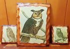 Set of 3 Vintage Owls Wood Plaque Wall Decor Decoupage Owl Pictures