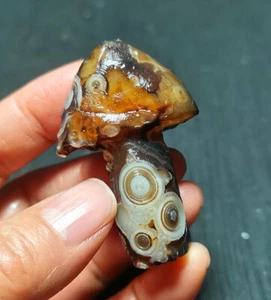 RARO 34G Natural Gobi Ágata Ojos Ágata/Hongos Curación R1513 - Imagen 1 de 13