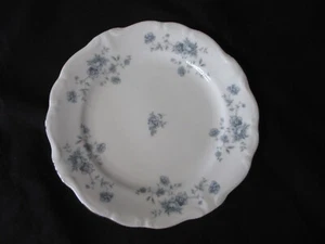 Johann Haviland Baviera Alemania Guirnalda Azul Juego de 6 Platos de Pan y Mantequilla - Imagen 1 de 4