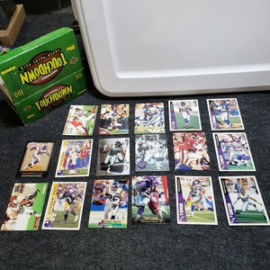 1990s NFL Football Minnesota Vikings - 34 Card Lot ft. Randy Moss RC Warren Moon