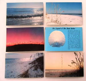 Cartoline lotto 6 x FLORIDA Sea Oats cartoline Postcards circa da/dopo ~1970 - Foto 1 di 2