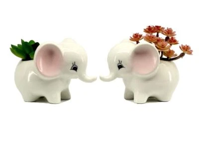 Lindas macetas suculentas macetas de cerámica blanca elefante cactus bonsái (2 pequeñas) Foto 1 de 4