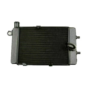 Radiator 1 PCS Grille Fits For Aprilia Mille RSV 1000 TUONO 2002-2005 2004 - Picture 1 of 12