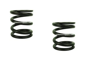Briggs Animal & LO206 Engine 20lb Valve Spring Kit Go Kart Drift Trike AN002 Cam - Picture 1 of 4