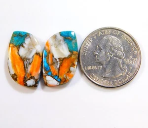 100% Natural Kingman Spiny Oyster Turquoise Pair Fancy Cabochon Gemstone BU=310 - Imagen 1 de 6