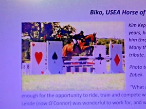 Breyer Biko USEA Event Horse of the Century Irish Thoroughbred Ltd Ed Gem Twist - Picture 1 of 12